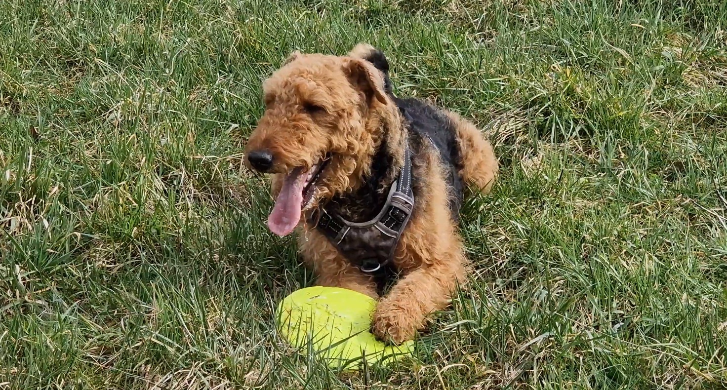 Peaches mit Frisbee