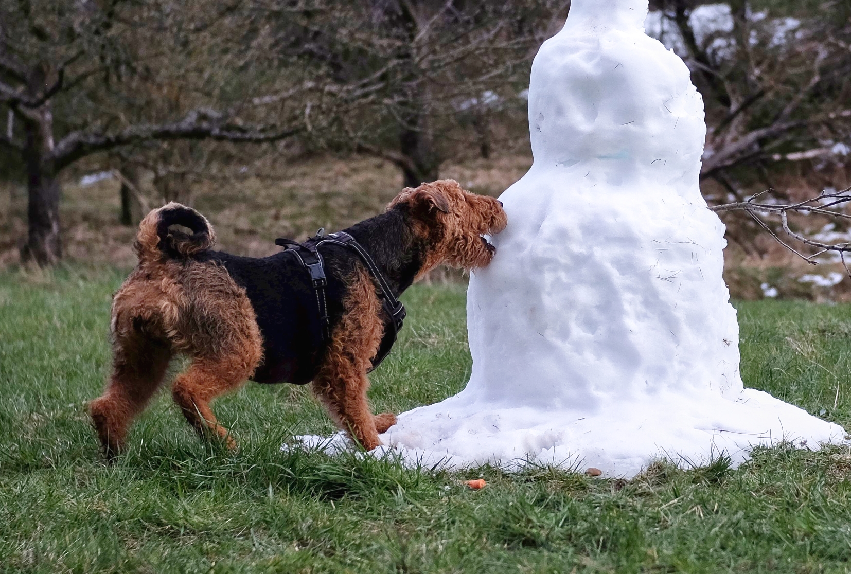 Peaches greift den Schneemann an